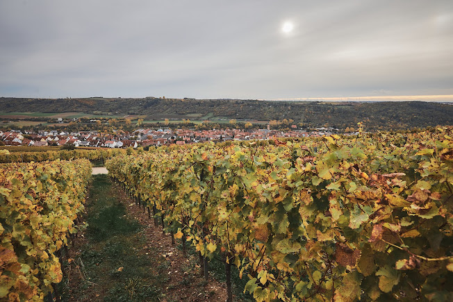 Weinberge rund um Eibelstadt