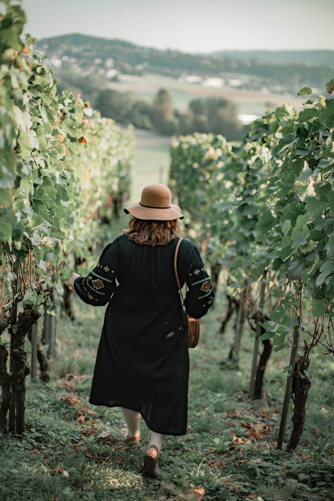 Korte vakantie in de wijnregio